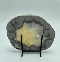 Load image into Gallery viewer, back side of septarian nodule slab