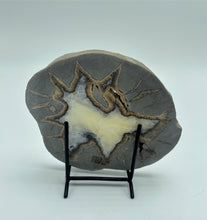 Load image into Gallery viewer, non-polished back side of a septarian slab