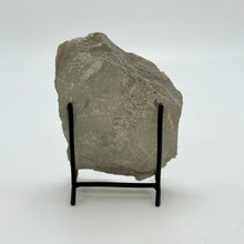 Load image into Gallery viewer, Large shale rock on a black stand against a white background