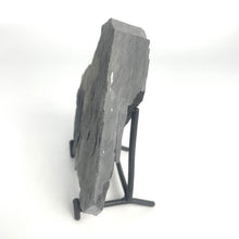 Load image into Gallery viewer, Utah West Desert Wheeler Shale with Cambrian Fossil Trilobite