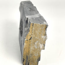 Load image into Gallery viewer, Utah West Desert Wheeler Shale with Middle Cambrian Fossil Trilobite