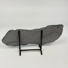 Load image into Gallery viewer, Gray wheeler shale on a black metal stand against a white background