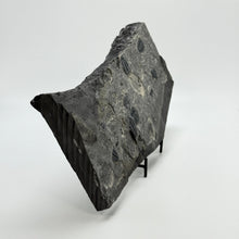 Load image into Gallery viewer, Large dark gray shale stone on a white background