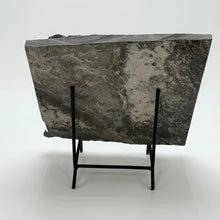 Load image into Gallery viewer, Back side view of Wheeler Shale rock