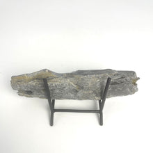 Load image into Gallery viewer, Utah West Desert Wheeler Shale with Middle Cambrian Fossil Trilobite