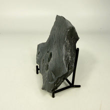 Load image into Gallery viewer, Large dark gray shale on a black stand against a white background