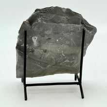 Load image into Gallery viewer, Large gray shale rock on a black metal stand against a white background