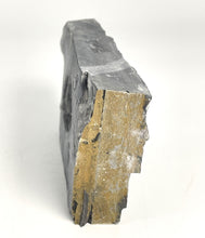 Load image into Gallery viewer, Utah West Desert Wheeler Shale prolific with Middle Cambrian Fossil Trilobites