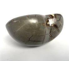 Load image into Gallery viewer, Utah Septarian Geode Heart sculpted and polished from a Septarian geode with a stunning calcite, aragonite crystal and limestone pattern