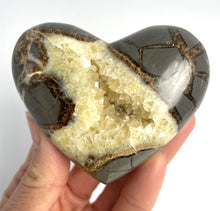 Load image into Gallery viewer, Utah Septarian Geode Heart sculpted and polished from a Septarian geode with a stunning calcite crystal hollow interior
