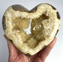 Load image into Gallery viewer, Utah Septarian Geode Heart sculpted and polished from a Septarian geode with a stunning calcite crystal hollow interior
