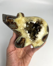 Load image into Gallery viewer, Septarian geode carved and polished into a long neck bear with beautiful smoky calcite crystals in the center
