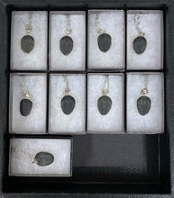 Load image into Gallery viewer, Sterling Silver Trilobite Necklace