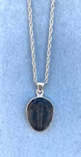 Load image into Gallery viewer, Sterling Silver Trilobite Necklace