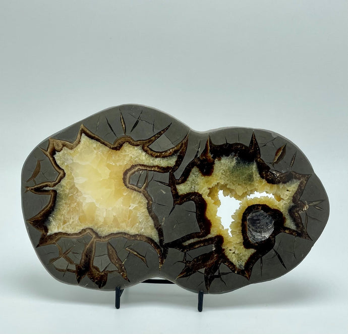 Polished side of a septarian geode 1/2
