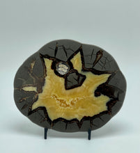 Load image into Gallery viewer, Utah Septarian Slab with Calcite Crystal Hollow and Fossil Imprint 6"