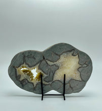 Load image into Gallery viewer, Back side or unpolished cut side of septarian slab with calcite cryatl hollow cavity