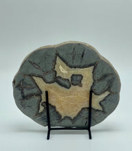 Load image into Gallery viewer, Utah Septarian Slab with Calcite Crystal Hollow and Fossil Imprint 6"