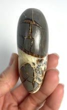 Load image into Gallery viewer, Utah Septarian Geode Heart sculpted and polished from a Septarian geode with a stunning calcite, aragonite and limestone pattern