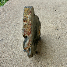 Load image into Gallery viewer, Cambrian shale on a concrete surface