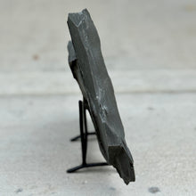 Load image into Gallery viewer, side vew of utah cambrian shale