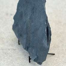 Load image into Gallery viewer, Fossil Algae on a grey cambrian shale side view