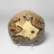 Load image into Gallery viewer, Utah Septarian Slab 5-5.5"