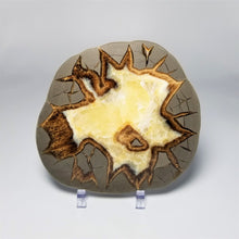 Load image into Gallery viewer, Utah Septarian Slab 5-5.5"