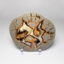 Load image into Gallery viewer, Utah Septarian Slab 4.5-5"