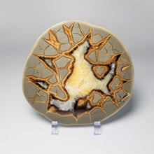 Load image into Gallery viewer, Utah Septarian Slab 4.5-5"