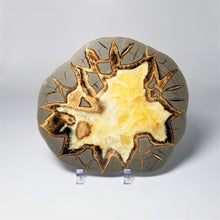 Load image into Gallery viewer, Utah Septarian Slab 6-6.5"