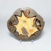 Load image into Gallery viewer, Utah Septarian Slab 6-6.5&quot;
