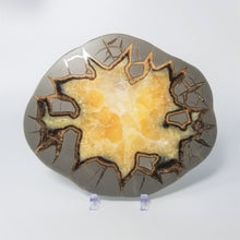 Load image into Gallery viewer, Utah Septarian Slab 7-7.5"