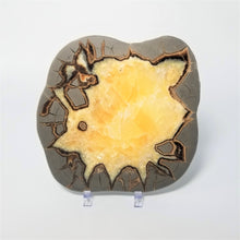 Load image into Gallery viewer, Utah Septarian Slab 6.5-7"
