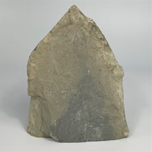 Load image into Gallery viewer, Elrathia kingii Trilobite Fossil Mass Mortality Plate 5" x 4.5"