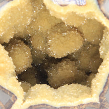Load image into Gallery viewer, Septarian geode hand free-formed and shaped into a beautiful polished Septarian Standup filled with Sparkly Calcite Crystals