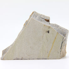 Load image into Gallery viewer, Back side of a Dendrite Picture Stone