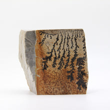 Load image into Gallery viewer, Dendrite Picture Stone