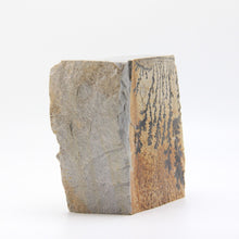 Load image into Gallery viewer, Dendrite Picture Stone