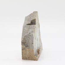 Load image into Gallery viewer, side view of a dendrite