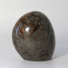 Load image into Gallery viewer, Septarian geode hand free-formed and shaped into a beautiful polished Septarian Standup filled with Sparkly Calcite Crystals