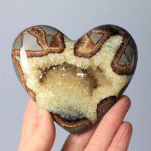 Load image into Gallery viewer, Utah Septarian Geode Heart sculpted and polished from a Septarian geode with a stunning calcite crystal hollow interior