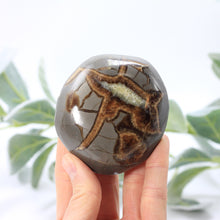 Load image into Gallery viewer, Septarian Turtle Back 2.5-3"