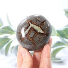 Load image into Gallery viewer, Septarian Turtle Back 2.5-3"