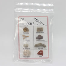 Load image into Gallery viewer, Fossil Collection Card