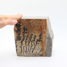 Load image into Gallery viewer, Dendrite Picture Stone