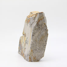 Load image into Gallery viewer, Dendrite Picture Stone side view
