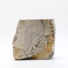 Load image into Gallery viewer, Dendrite Picture Stone