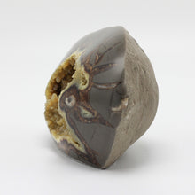 Load image into Gallery viewer, Septarian Standup with beveled edges and Calcite Hollow