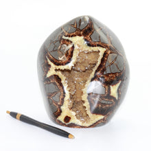 Load image into Gallery viewer, Tall Septarian Standup with Beveled Edges